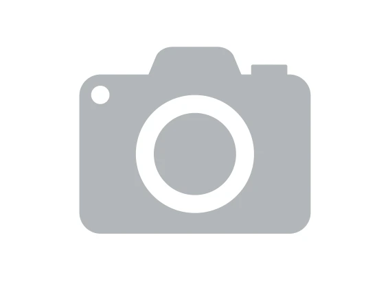 A gray camera icon